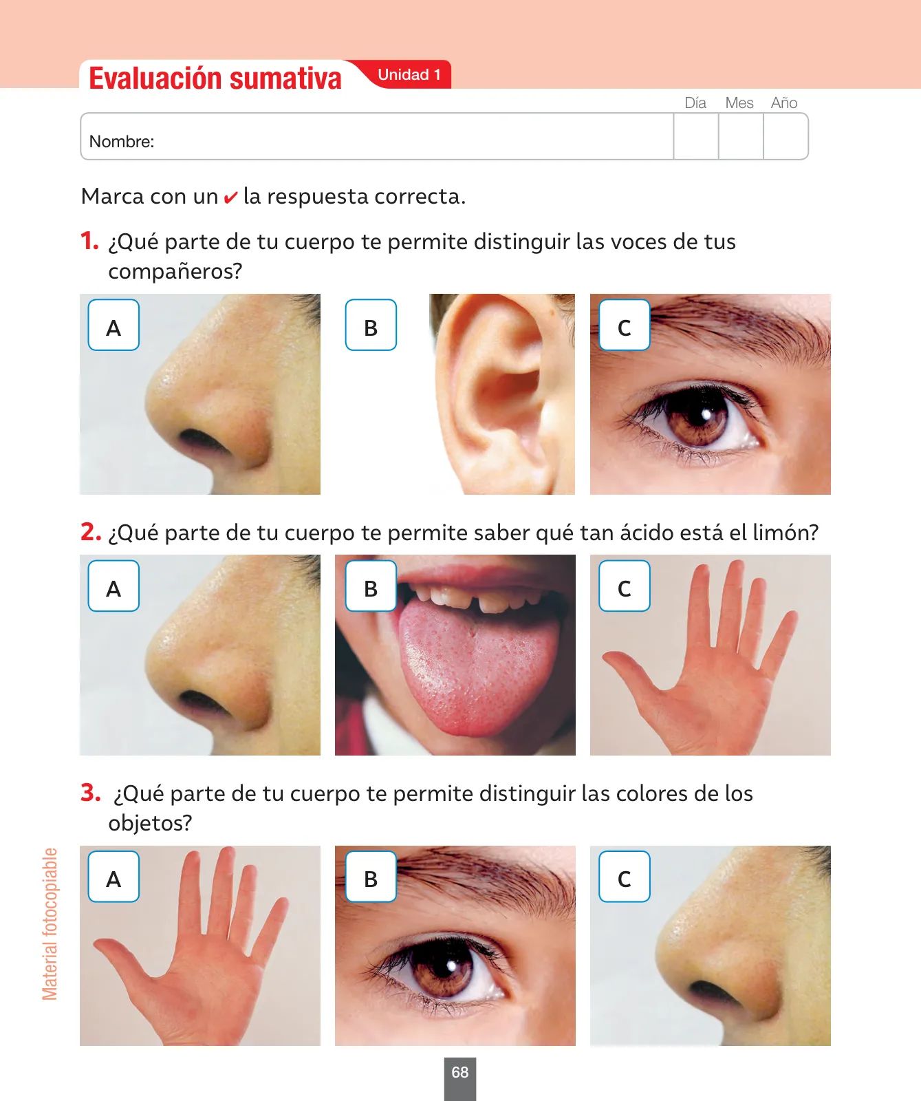 Miniatura página 69 de Ciencias Naturales – Primero Básico | Texto del Estudiante (MINEDUC) – Descargar PDF · 2024
