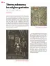 Miniatura página 137 de Colección Ximhai. Múltiples lenguajes.   Libro de Educación Secundaria Grado 1°  Ciclo Escolar 2025 - 2026