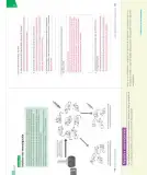 Miniatura página 64 de Ciencias Naturales – Séptimo Básico | Texto del Estudiante MINEDUC – Descargar PDF · 2024