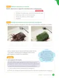 Miniatura página 77 de Libro de Ciencias Naturales – Quinto Básico | Texto del Estudiante MINEDUC – Descargar PDF · 2024