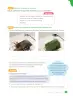 Miniatura página 77 de Libro de Ciencias Naturales – Quinto Básico | Texto del Estudiante MINEDUC – Descargar PDF · 2024
