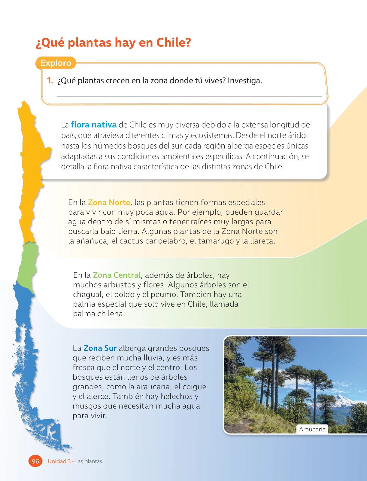 Página 98 de Ciencias Naturales – Tercero Básico | Texto del Estudiante MINEDUC – Descargar PDF · 2024