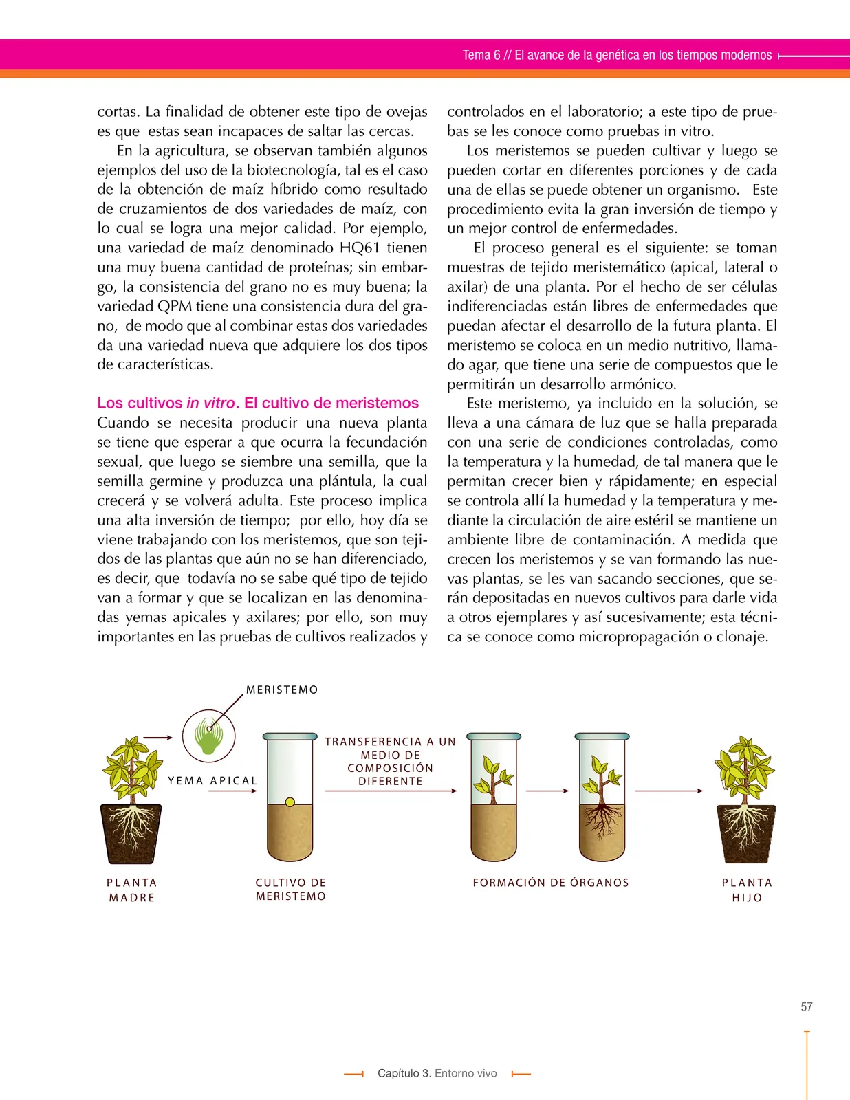Miniatura página 57 de Ciencias Naturales 9° · Secundaria Activa