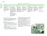 Miniatura página 17 de Posibilidades de trabajo para la acción transformadora y el codiseño. Ficheros. Fase 2  Libro de Educación Preescolar Grado 1°, 2°, 3°  Ciclo Escolar 2025 - 2026