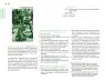 Miniatura página 153 de Posibilidades de trabajo para la acción transformadora y el codiseño. Ficheros. Fase 2  Libro de Educación Preescolar Grado 1°, 2°, 3°  Ciclo Escolar 2025 - 2026