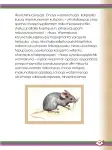 Pág 61