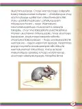 Miniatura página 61 de Willakuykuna maytu - Chanka Literatura 1 - 1° Secundaria - Quechua chanka · 2023