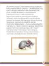 Miniatura página 61 de Willakuykuna maytu - Chanka Literatura 1 - 1° Secundaria - Quechua chanka · 2023