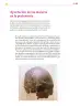 Miniatura página 290 de Colección Ximhai. Ética, naturaleza y sociedades.   Libro de Educación Secundaria Grado 1°  Ciclo Escolar 2025 - 2026