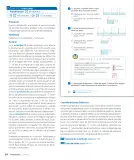 Miniatura página 66 de Sumo Primero – Tercero Básico | Texto del Estudiante MINEDUC – Descargar PDF · 2024