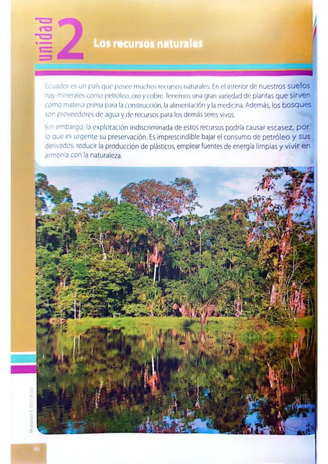 Página 43 de Ciencias Naturales 4° · Egb 4 Ciencias Naturales 2025 · 2025