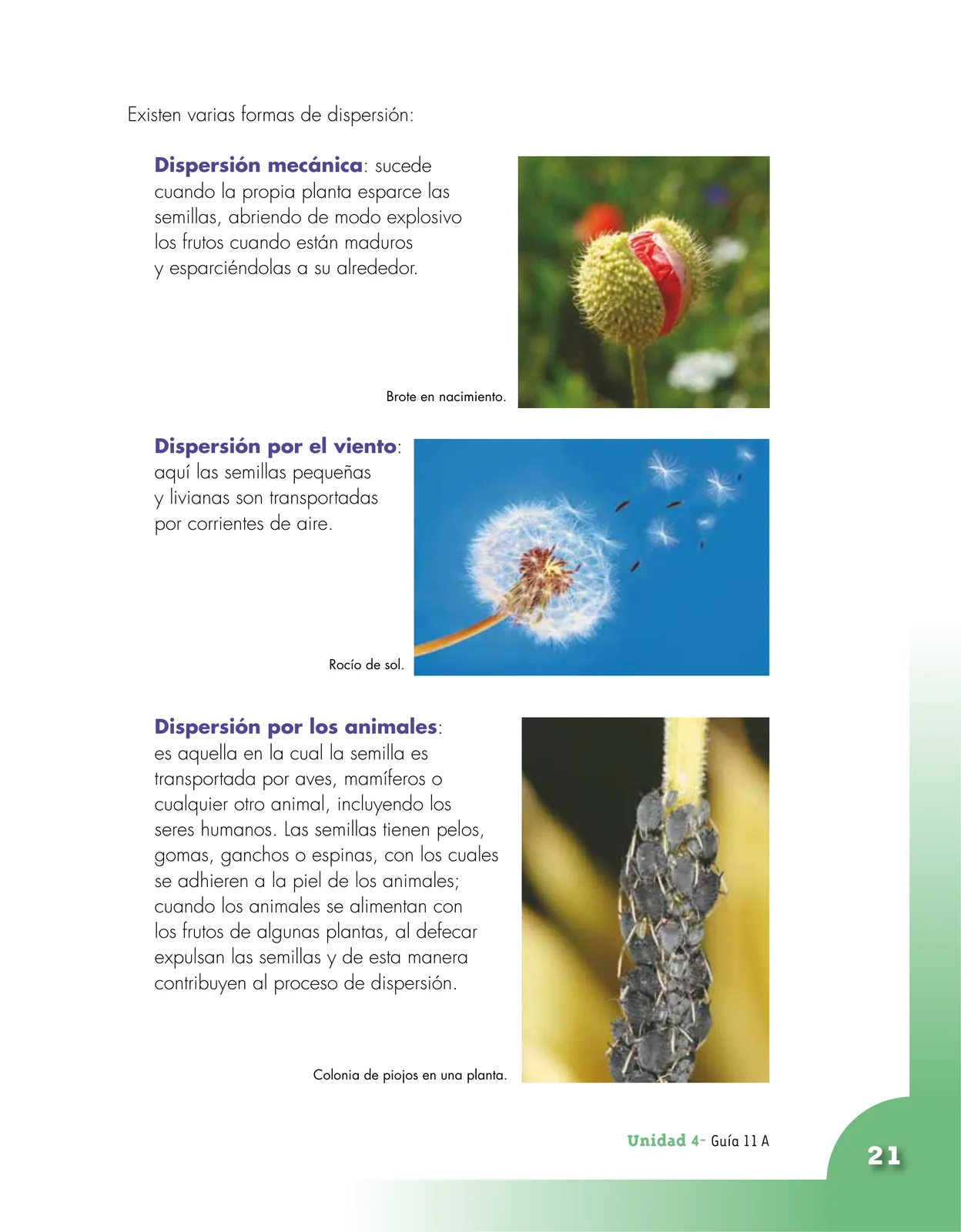 Página 21 de Ciencias Naturales 4° · Cartilla 02