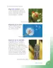 Miniatura página 21 de Ciencias Naturales 4° · Cartilla 02