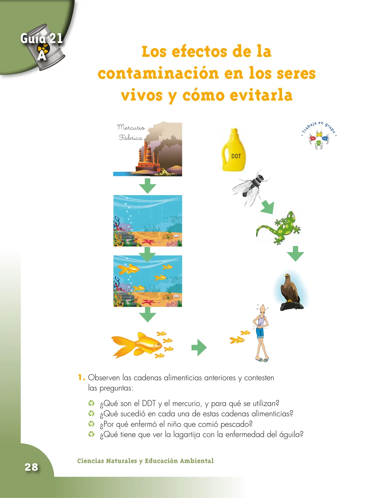 Miniatura página 28 de Ciencias Naturales 4° · Cartilla 03