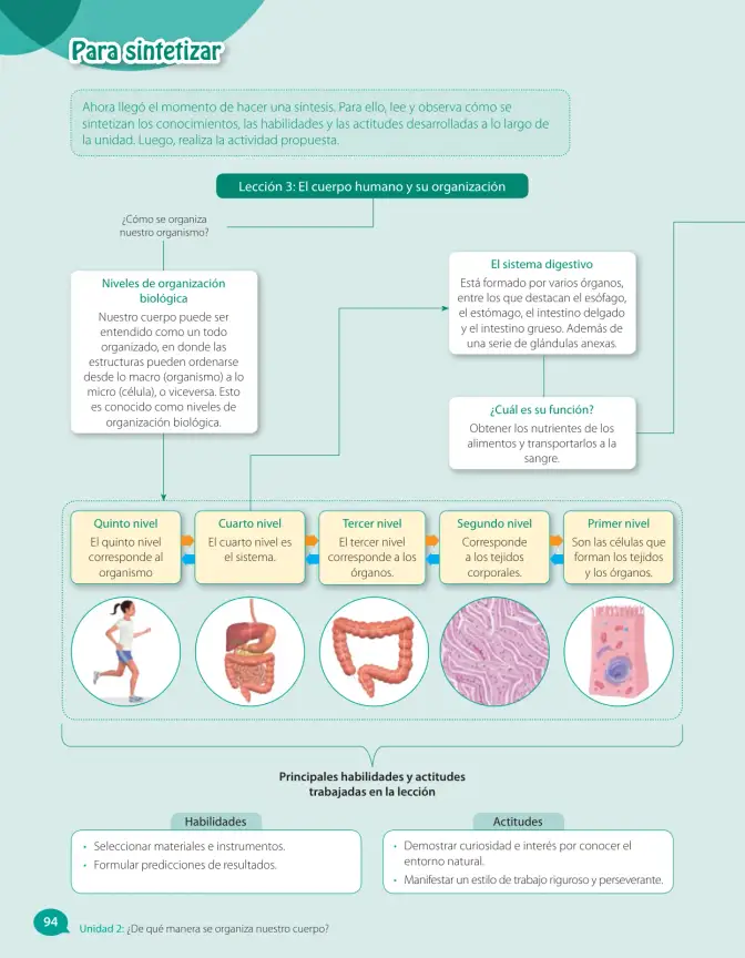 Página 172 de Libro de Ciencias Naturales – Quinto Básico | Texto del Estudiante MINEDUC – Descargar PDF · 2024