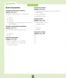 Miniatura página 127 de Ciencias Naturales – Primero Básico | Texto del Estudiante (MINEDUC) – Descargar PDF · 2024