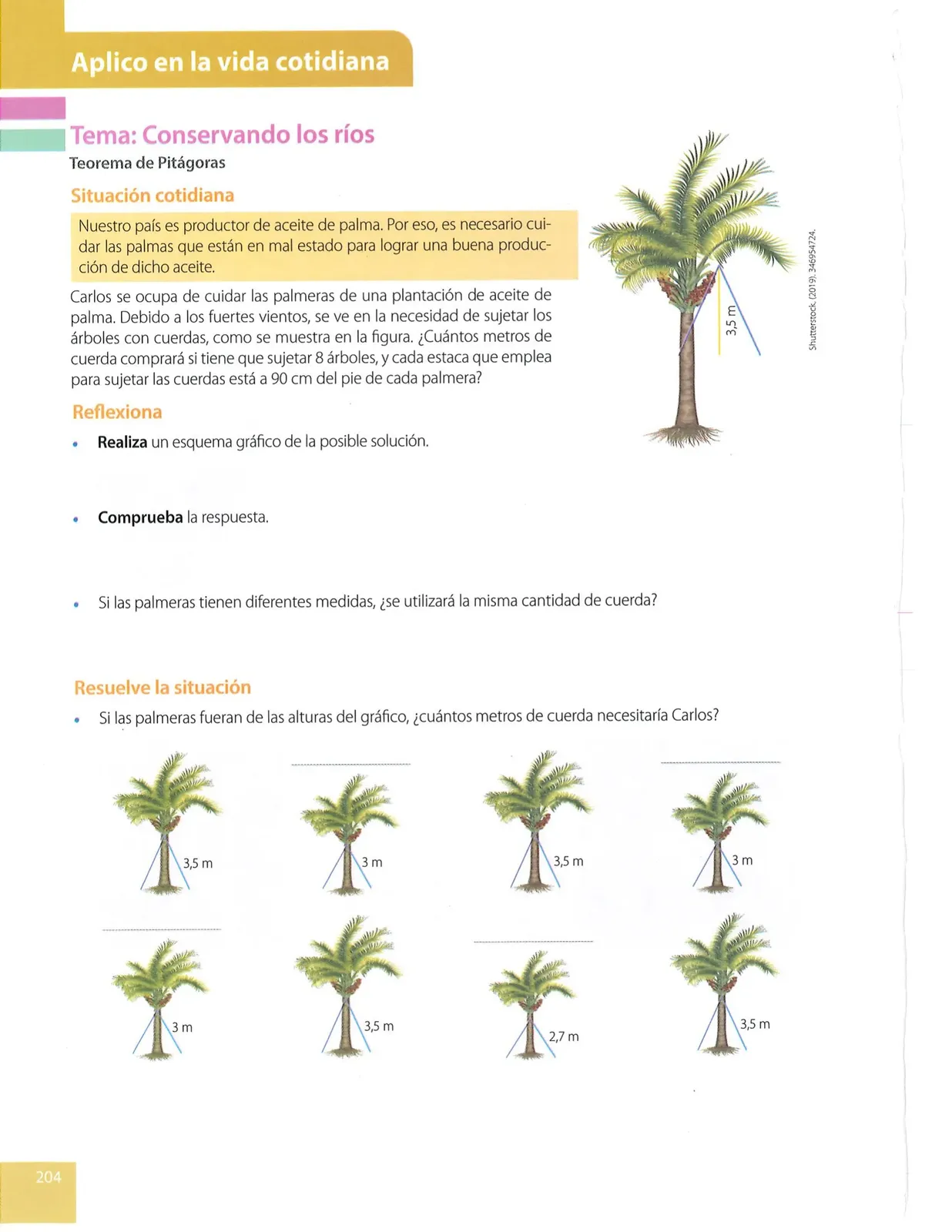 Miniatura página 204 de Matematica · 8 EGB · 2025