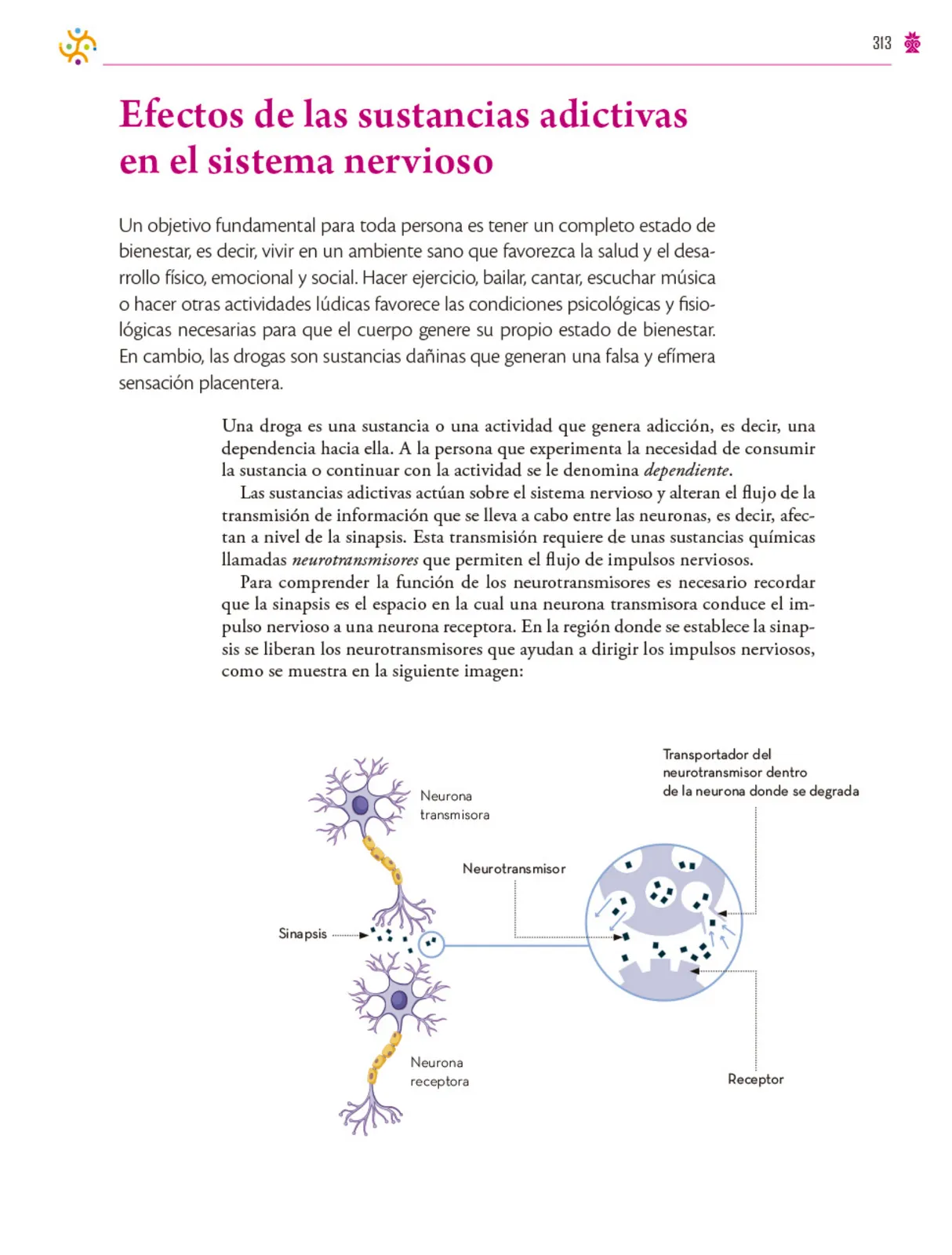 Página 314 de Colección Ximhai. Saberes y pensamiento científico. Libro de Educación Secundaria Grado 1° Ciclo Escolar 2025 - 2026