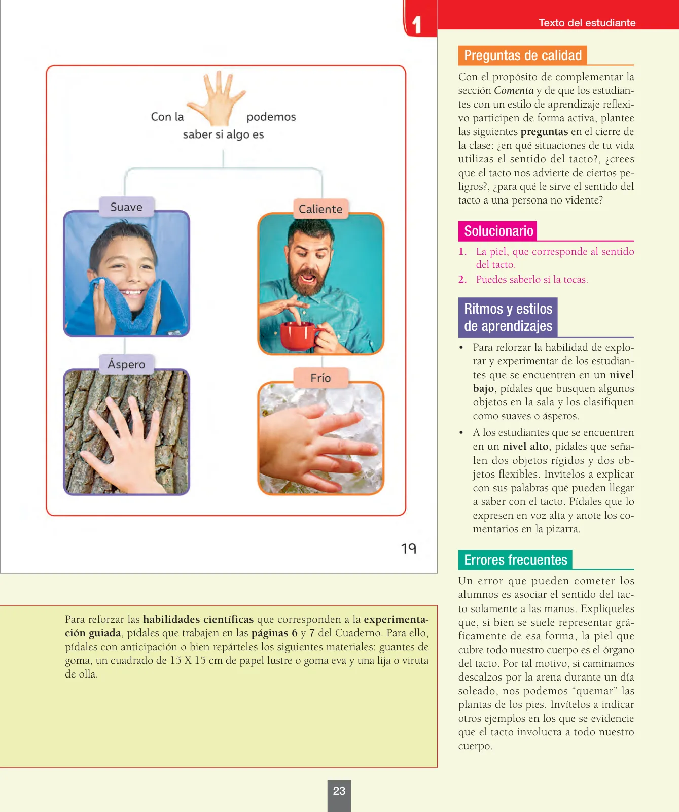 Miniatura página 24 de Ciencias Naturales – Primero Básico | Texto del Estudiante (MINEDUC) – Descargar PDF · 2024