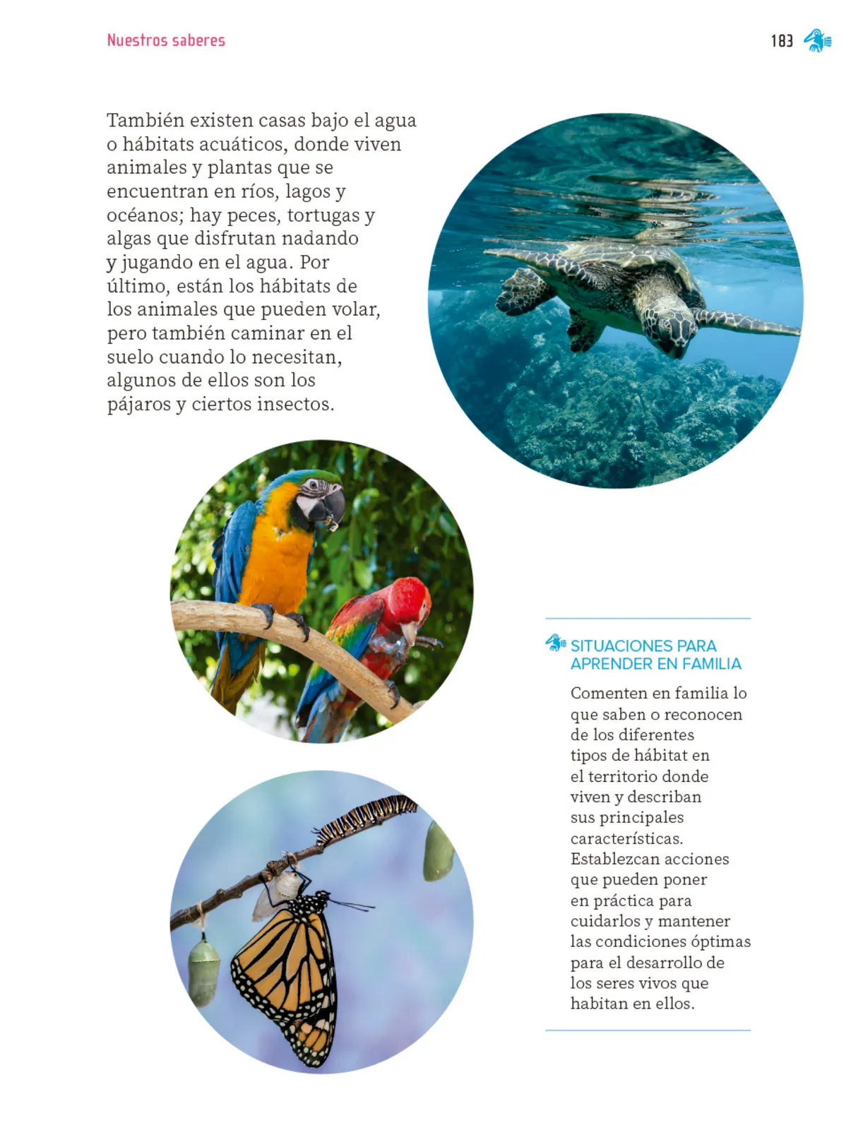 Página 184 de Nuestros saberes: Libro para alumnos, maestros y familia. Libro de Educación Primaria Grado 1° Ciclo Escolar 2025 - 2026