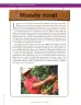 Miniatura página 206 de Lenguaje 8° · Secundaria Activa