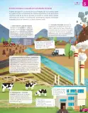 Miniatura página 184 de Libro de Ciencias Naturales – Quinto Básico | Texto del Estudiante MINEDUC – Descargar PDF · 2024