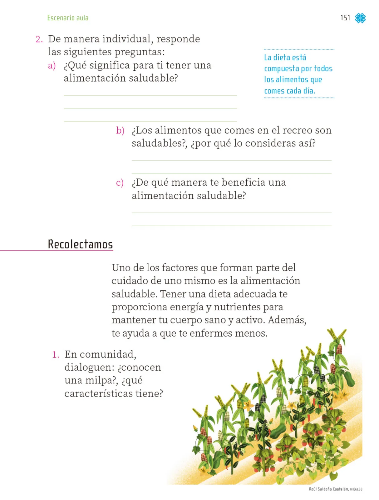 Página 152 de Proyectos de Aula. Libro de Educación Primaria Grado 1° Ciclo Escolar 2025 - 2026