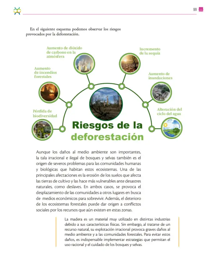 Página 100 de Colección Sk´asolil. De lo humano y lo comunitario. Libro de Educación Secundaria Grado 2° Ciclo Escolar 2025 - 2026