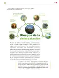 Miniatura página 100 de Colección Sk´asolil. De lo humano y lo comunitario.   Libro de Educación Secundaria Grado 2°  Ciclo Escolar 2025 - 2026
