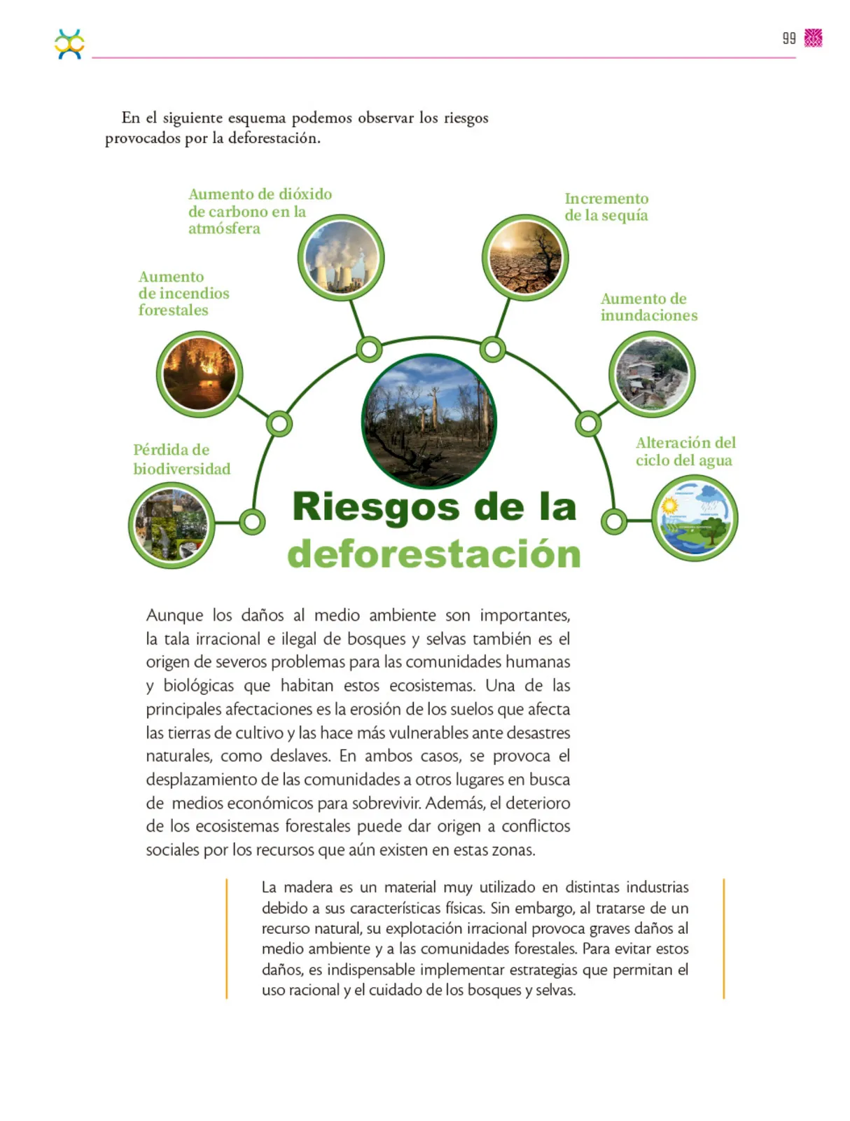 Miniatura página 100 de Colección Sk´asolil. De lo humano y lo comunitario.   Libro de Educación Secundaria Grado 2°  Ciclo Escolar 2025 - 2026