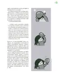 Miniatura página 22 de Crianza para la libertad. Libro para las familias. Fase 2  Libro de Educación Preescolar Grado 1°, 2°, 3°  Ciclo Escolar 2025 - 2026