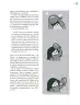 Miniatura página 22 de Crianza para la libertad. Libro para las familias. Fase 2  Libro de Educación Preescolar Grado 1°, 2°, 3°  Ciclo Escolar 2025 - 2026
