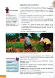 Miniatura página 133 de Ciencias Naturales 4° · Egb 4 Ciencias Naturales 2025 · 2025