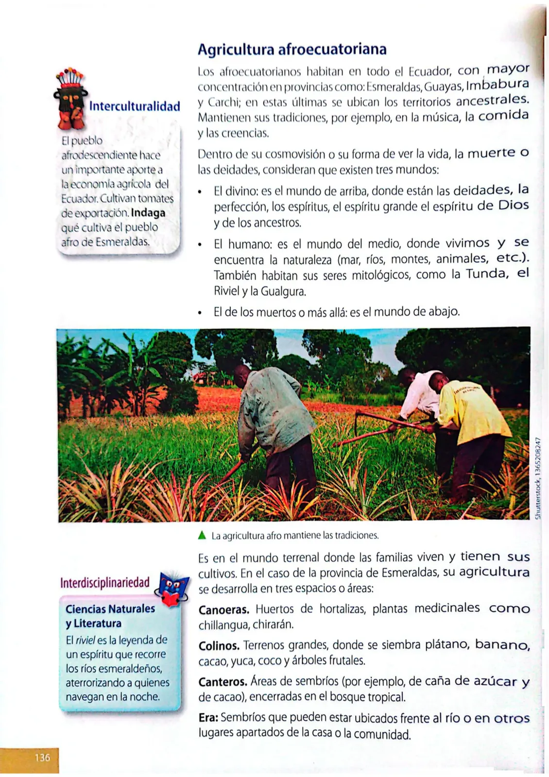 Miniatura página 133 de Ciencias Naturales · 4 EGB · 2025