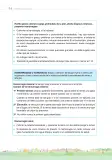 Miniatura página 46 de Orientaciones para el funcionamiento de las cunas y cunas jardín que brindan el servicio de educación y cuidado diurno con atención integral para niñas y niños de 12 a 36 meses : guía del servicio y protocolos · 2024