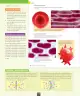 Miniatura página 117 de Ciencias Naturales – Octavo Básico | Texto del Estudiante MINEDUC – Descargar PDF · 2024