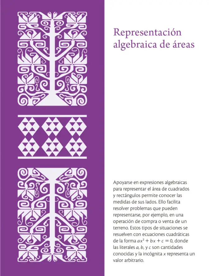 Página 18 de Colección Sk´asolil. Saberes y pensamiento científico. Libro de Educación Secundaria Grado 2° Ciclo Escolar 2025 - 2026