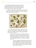 Miniatura página 46 de Colección Sk´asolil. Ética, naturaleza y sociedades.   Libro de Educación Secundaria Grado 2°  Ciclo Escolar 2025 - 2026