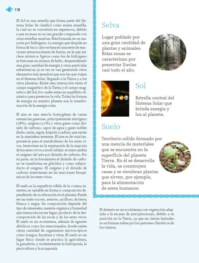 Página 119 de Nuestros saberes: Libro para alumnos, maestros y familia. Libro de Educación Primaria Grado 2° Ciclo Escolar 2025 - 2026