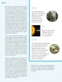 Miniatura página 119 de Nuestros saberes: Libro para alumnos, maestros y familia.   Libro de Educación Primaria Grado 2°  Ciclo Escolar 2025 - 2026