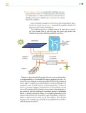 Miniatura página 110 de Colección Nanahuatzin. De lo humano y lo comunitario.   Libro de Educación Telesecundaria Grado 3°  Ciclo Escolar 2025 - 2026