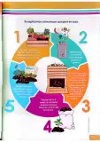 Miniatura página 126 de Ciencias Naturales 4° · Egb 4 Ciencias Naturales 2025 · 2025