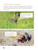Miniatura página 104 de Ciencias Naturales – Tercero Básico | Texto del Estudiante MINEDUC – Descargar PDF · 2024