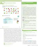 Miniatura página 43 de Sumo Primero – Tercero Básico | Texto del Estudiante MINEDUC – Descargar PDF · 2024