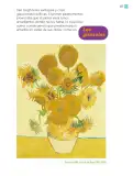 Miniatura página 228 de Múltiples lenguajes.   Libro de Educación Primaria Grado 2°  Ciclo Escolar 2025 - 2026