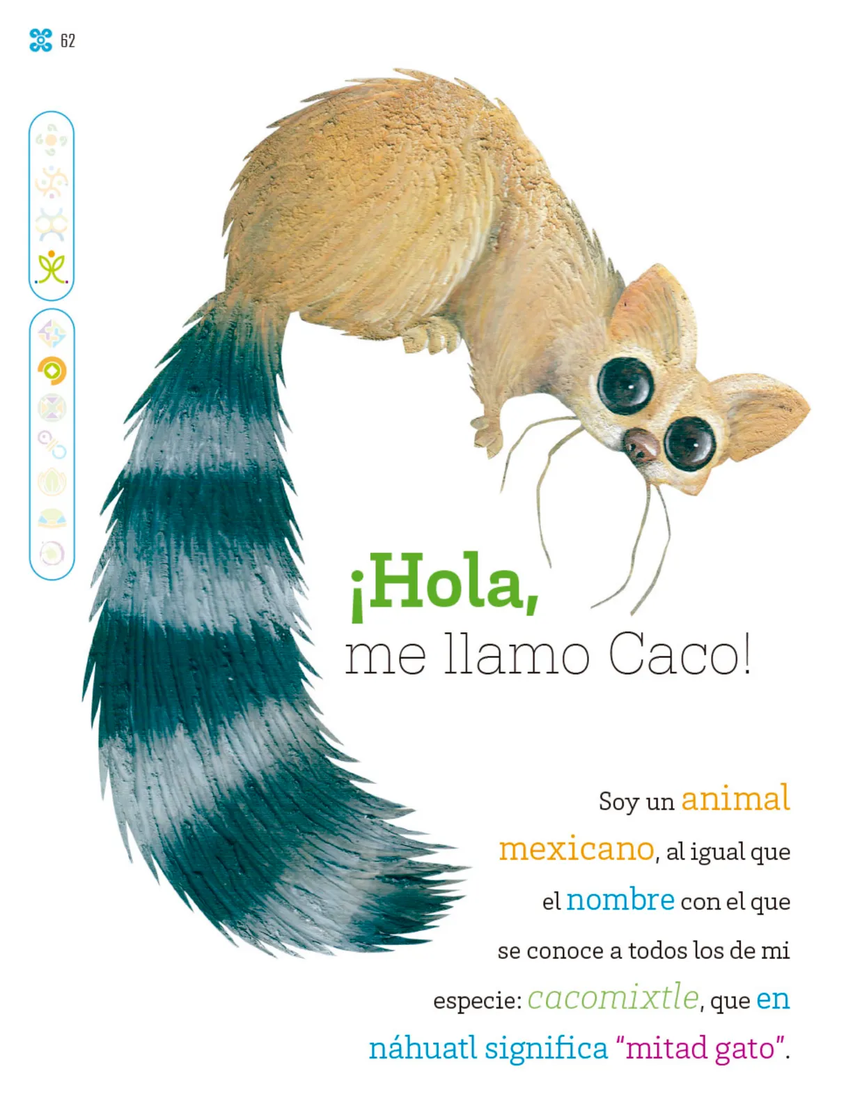 Miniatura página 63 de Múltiples lenguajes.   Libro de Educación Primaria Grado 1°  Ciclo Escolar 2025 - 2026