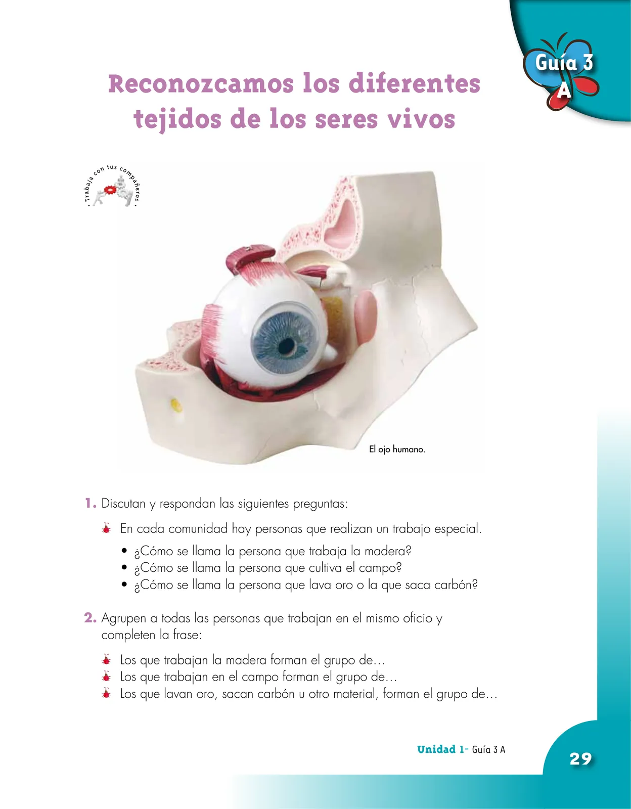 Pág 29