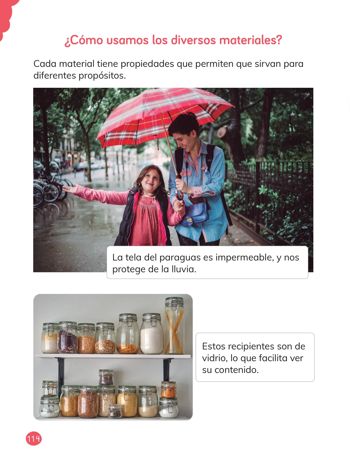Miniatura página 116 de Ciencias Naturales – Primero Básico | Texto del Estudiante (MINEDUC) – Descargar PDF · 2024