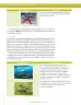Miniatura página 188 de Ciencias Naturales 6° · Secundaria Activa