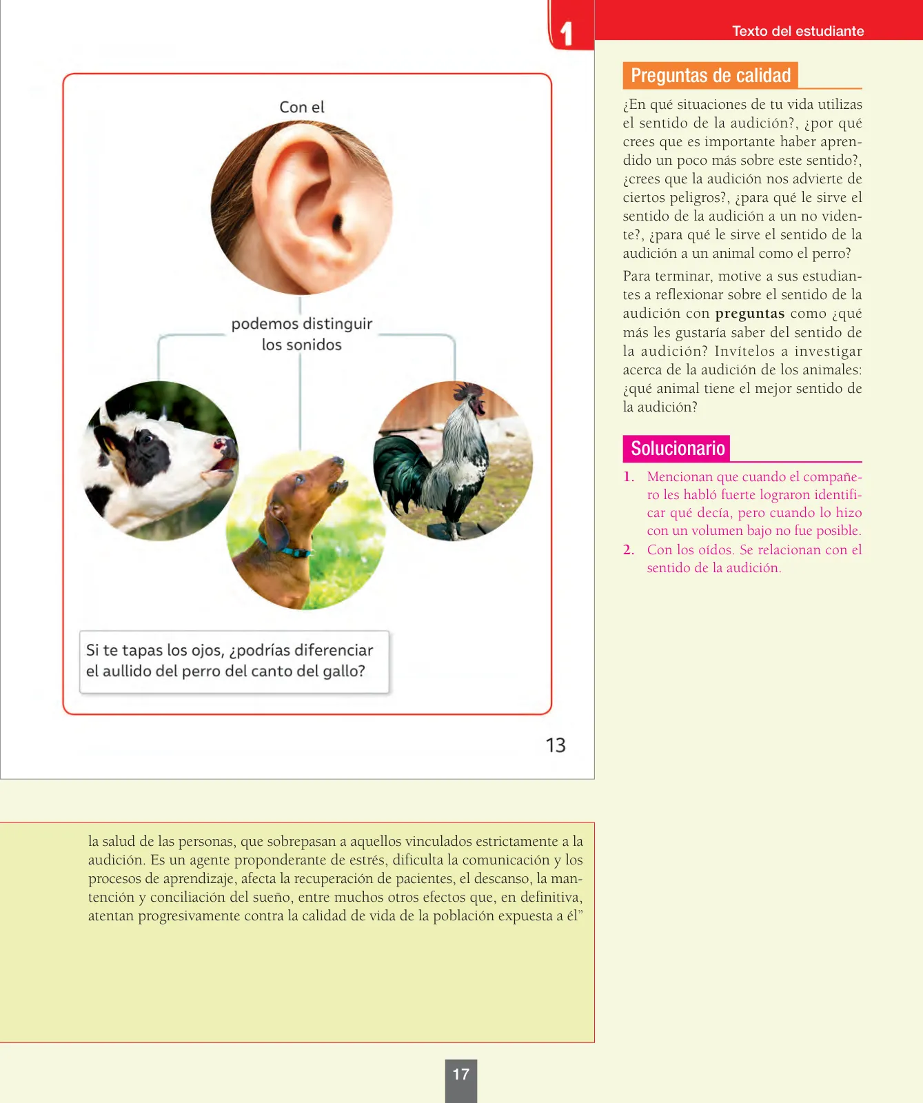 Miniatura página 18 de Ciencias Naturales – Primero Básico | Texto del Estudiante (MINEDUC) – Descargar PDF · 2024